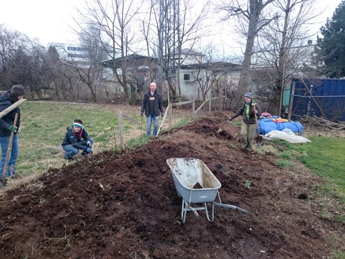 Zaun richten im innsGARTL