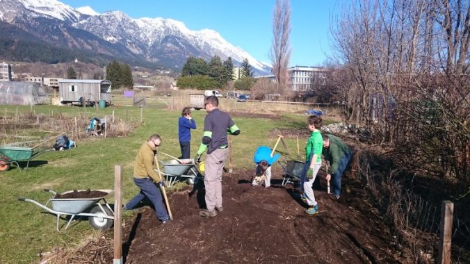 beim Kompost schöpfen im innsGARTl