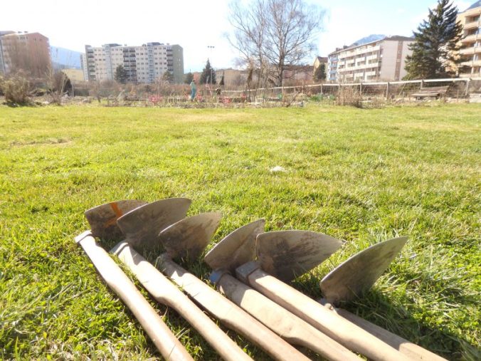innsGARTl Inventur Feldhauen